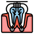 teeth_14124003